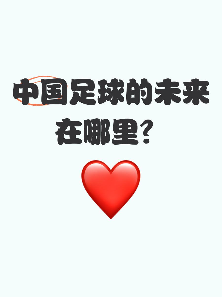 关于中国足球发展的未来展望与探讨 关于中国足球发展的未来展望与探讨