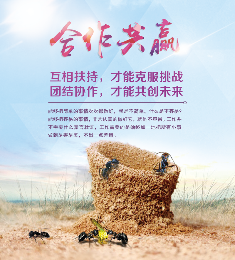 球队精诚团结战胜对手实现团体荣耀