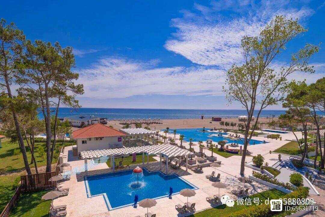 包含狄佩斯土耳其心病无解，主场丢球再蹄的词条