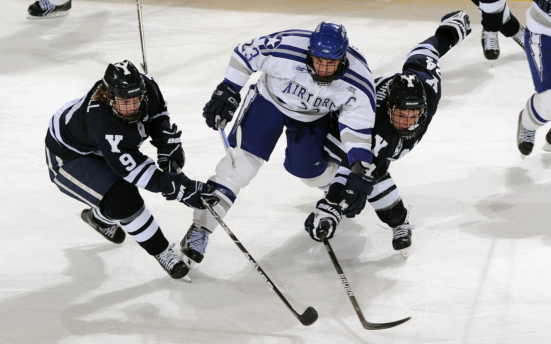 北境孤星，当拉文在猛龙与国王的寂静战场亮出獠牙