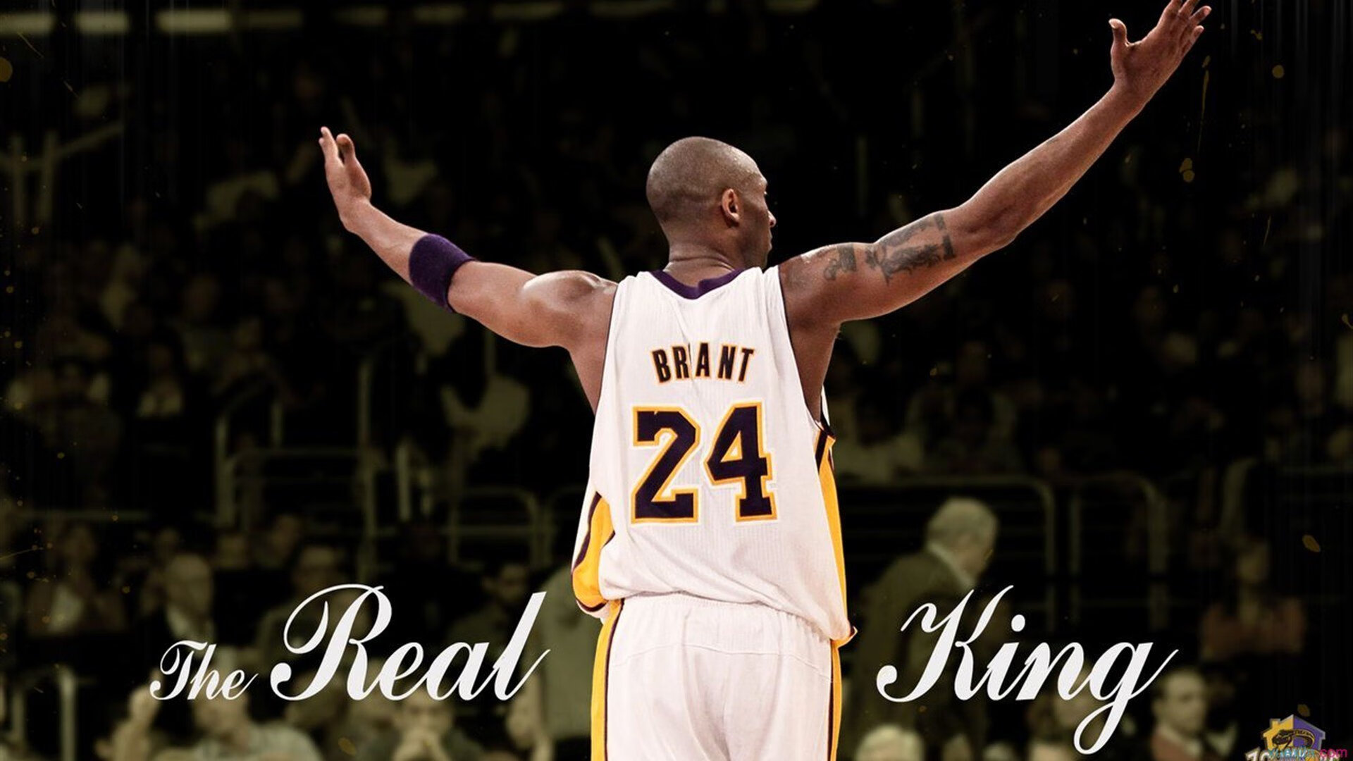 意甲焦点战启示录,从委内瑞拉踏平日本看足球哲学的碰撞